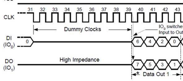 SPI Dual Data